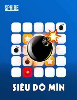 Wild Multiplier